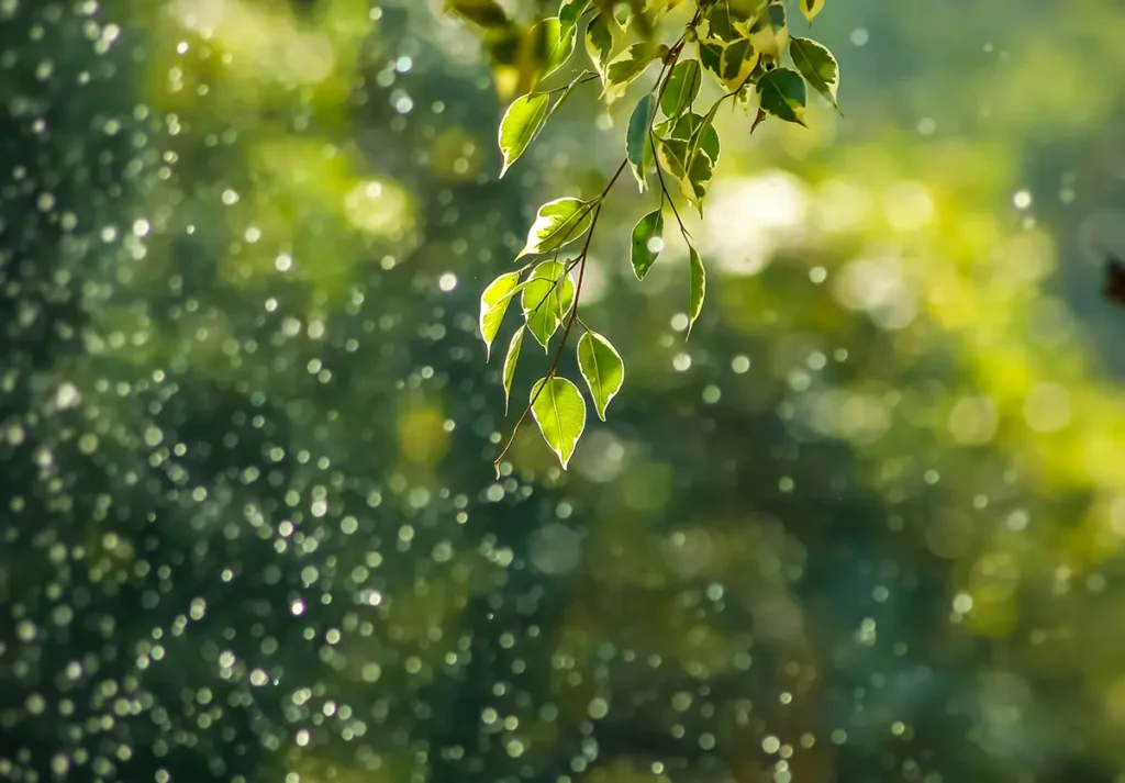 Nachhaltige erneuerbare Energien – grüne Zukunft